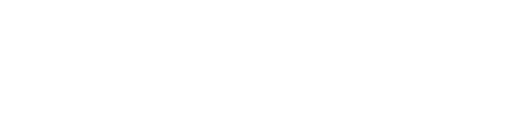 Solex Thermal Science logo